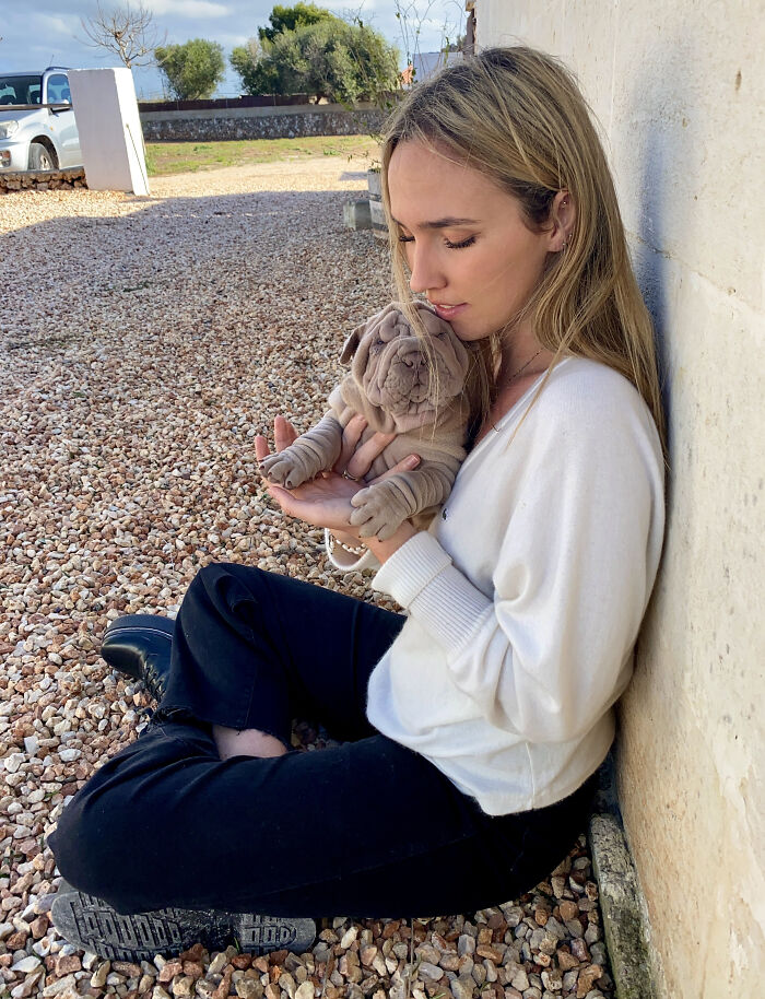 This Shar Pei Is Tricking People On The Internet Into Thinking He’s A Scrunched-Up Blanket (53 Pics) This Shar Pei Is Tricking People On The Internet Into Thinking He’s A Scrunched-Up Blanket (53 Pics)