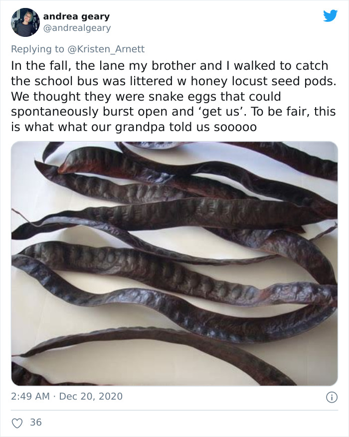 40 Of The Best Naive Beliefs That People Had In Their Childhood, According To This Twitter Thread 40 Of The Best Naive Beliefs That People Had In Their Childhood, According To This Twitter Thread