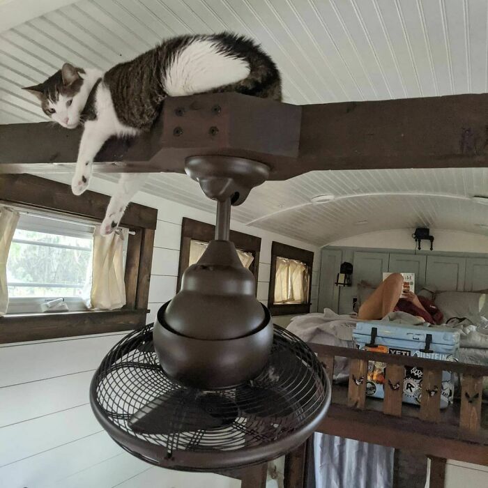 Man Lives On His Own Private Island In Florida And Here’s How His Life Looks Man Lives On His Own Private Island In Florida And Here’s How His Life Looks