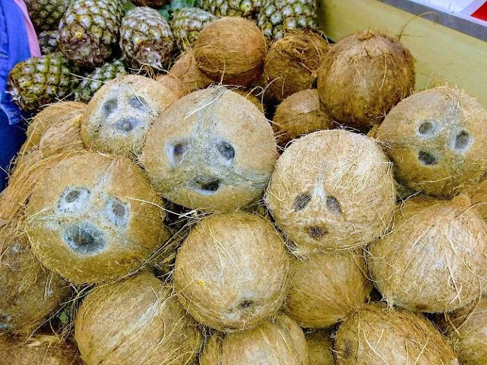 Hey Pandas, Have You Ever Come Across Something Resembling A Face And Taken A Pic? (Closed) Hey Pandas, Have You Ever Come Across Something Resembling A Face And Taken A Pic? (Closed)