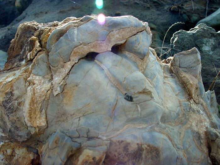 Hey Pandas, Have You Ever Come Across Something Resembling A Face And Taken A Pic? (Closed) Hey Pandas, Have You Ever Come Across Something Resembling A Face And Taken A Pic? (Closed)