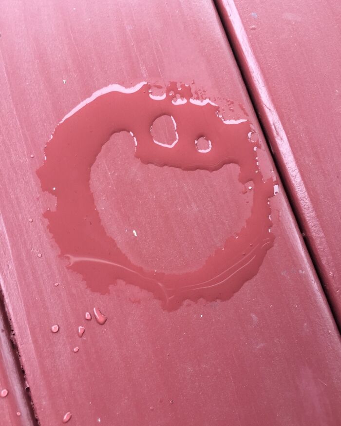 Hey Pandas, Have You Ever Come Across Something Resembling A Face And Taken A Pic? (Closed) Hey Pandas, Have You Ever Come Across Something Resembling A Face And Taken A Pic? (Closed)