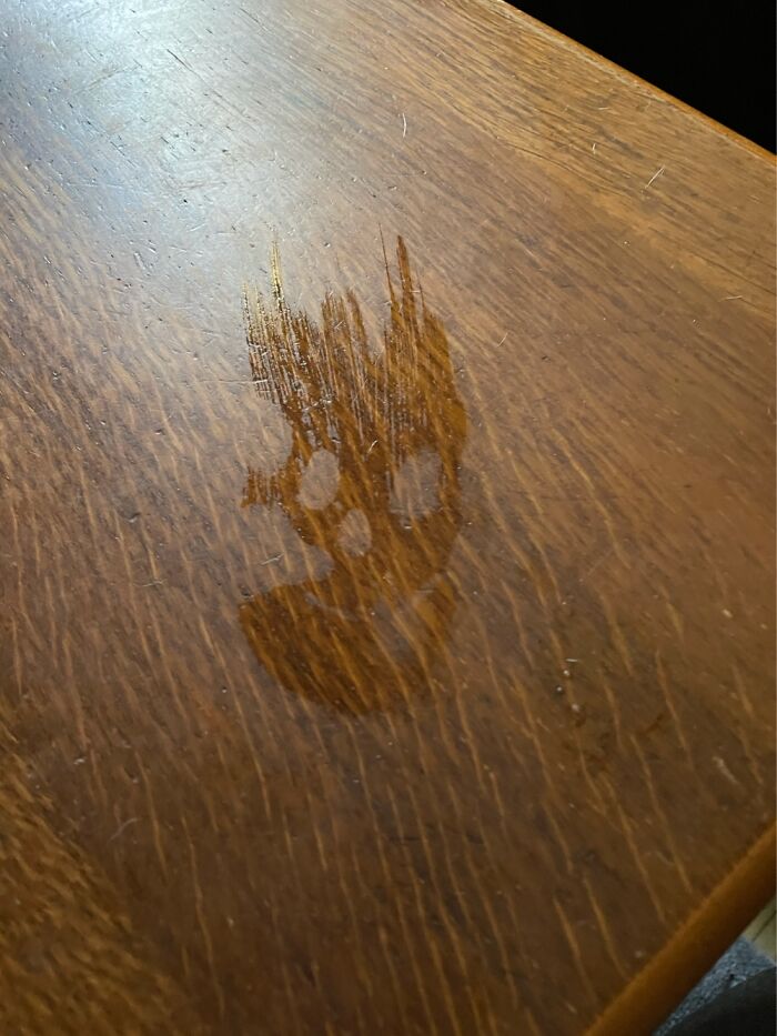 Hey Pandas, Have You Ever Come Across Something Resembling A Face And Taken A Pic? (Closed) Hey Pandas, Have You Ever Come Across Something Resembling A Face And Taken A Pic? (Closed)