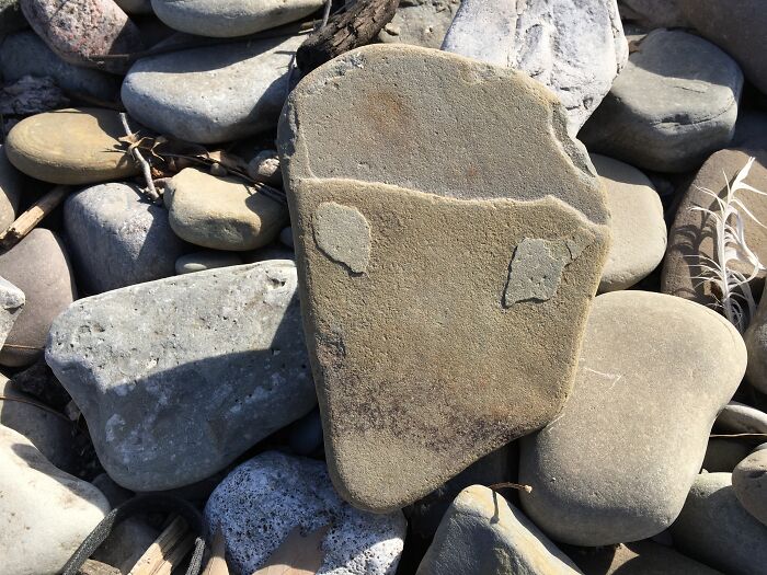 Hey Pandas, Have You Ever Come Across Something Resembling A Face And Taken A Pic? (Closed) Hey Pandas, Have You Ever Come Across Something Resembling A Face And Taken A Pic? (Closed)