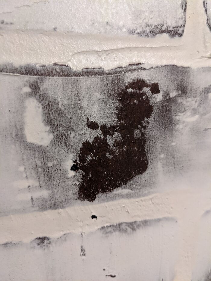 Hey Pandas, Have You Ever Come Across Something Resembling A Face And Taken A Pic? (Closed) Hey Pandas, Have You Ever Come Across Something Resembling A Face And Taken A Pic? (Closed)