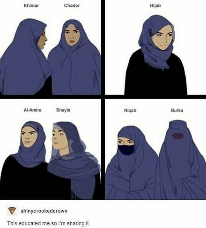 50 ‘Cool Guides’ People Shared On This Group That Contain Information They Don’t Teach At School 50 ‘Cool Guides’ People Shared On This Group That Contain Information They Don’t Teach At School