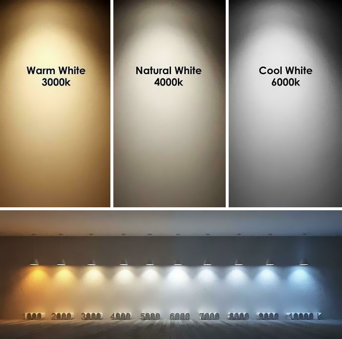 50 ‘Cool Guides’ People Shared On This Group That Contain Information They Don’t Teach At School 50 ‘Cool Guides’ People Shared On This Group That Contain Information They Don’t Teach At School