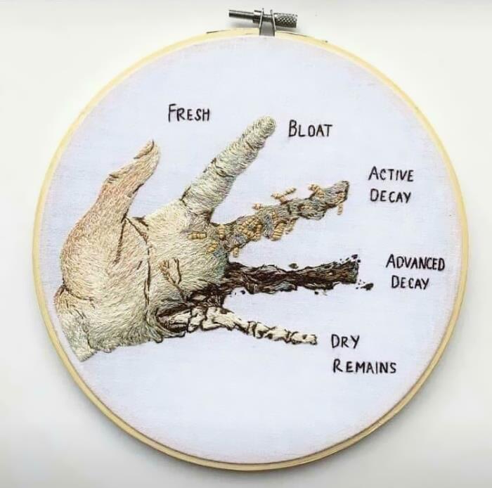 50 ‘Cool Guides’ People Shared On This Group That Contain Information They Don’t Teach At School 50 ‘Cool Guides’ People Shared On This Group That Contain Information They Don’t Teach At School