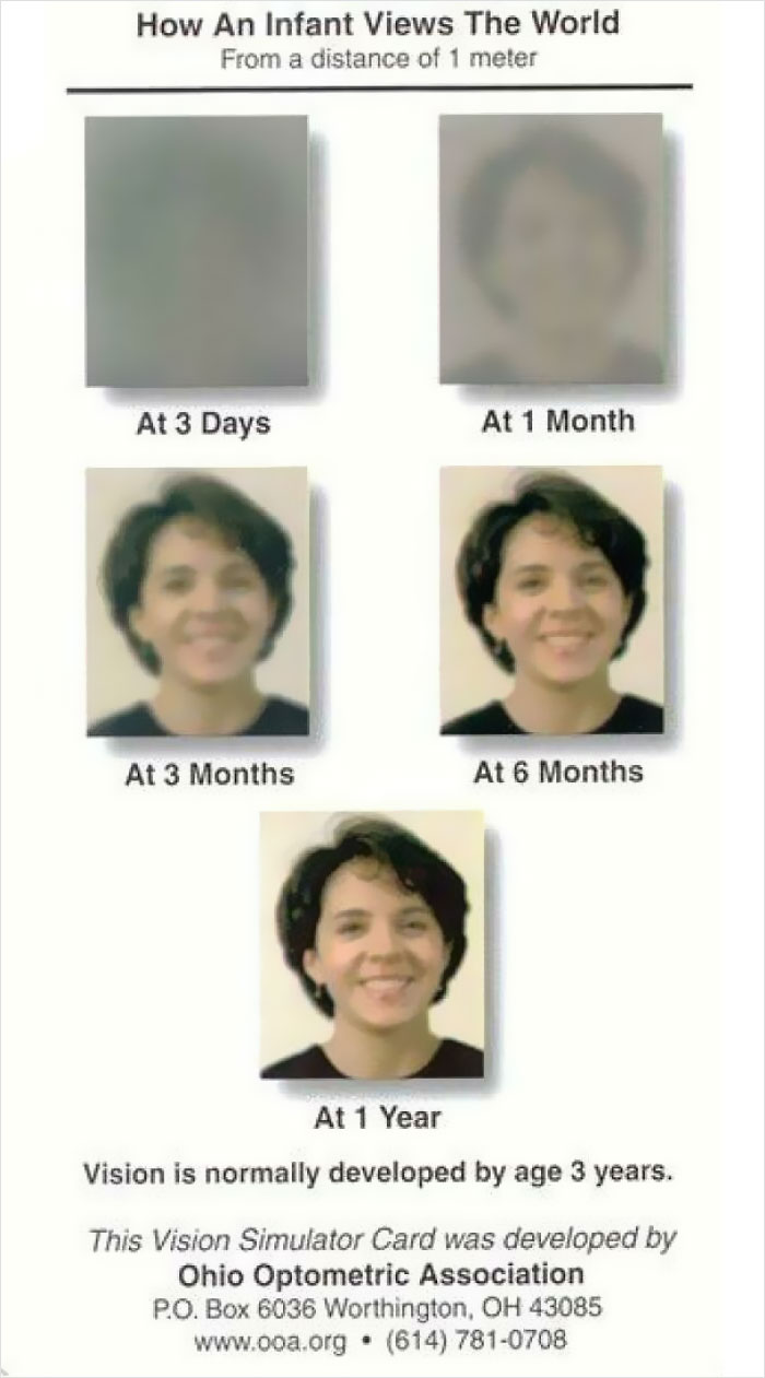 50 ‘Cool Guides’ People Shared On This Group That Contain Information They Don’t Teach At School 50 ‘Cool Guides’ People Shared On This Group That Contain Information They Don’t Teach At School