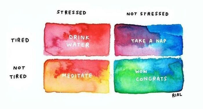 50 ‘Cool Guides’ People Shared On This Group That Contain Information They Don’t Teach At School 50 ‘Cool Guides’ People Shared On This Group That Contain Information They Don’t Teach At School