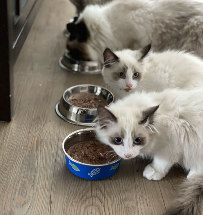 50 Things That Are Actually Scams Yet We Don’t Notice Them Because They’re So Normalized 50 Things That Are Actually Scams Yet We Don’t Notice Them Because They’re So Normalized