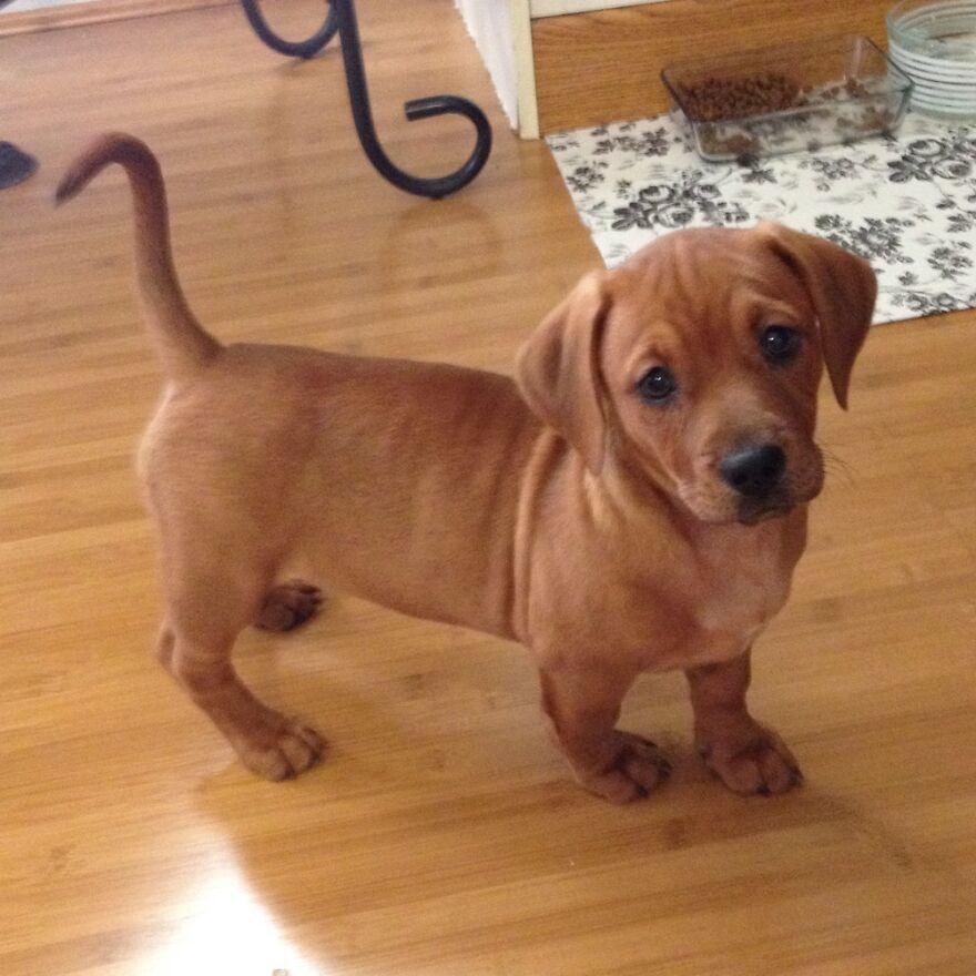 Hey Pandas, What’s The Cutest Picture You Have? (Closed) Hey Pandas, What’s The Cutest Picture You Have? (Closed)