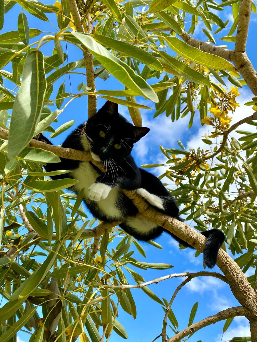 Hey Pandas, What’s The Cutest Picture You Have? (Closed) Hey Pandas, What’s The Cutest Picture You Have? (Closed)