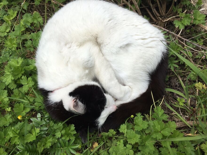 Hey Pandas, What’s The Cutest Picture You Have? (Closed) Hey Pandas, What’s The Cutest Picture You Have? (Closed)