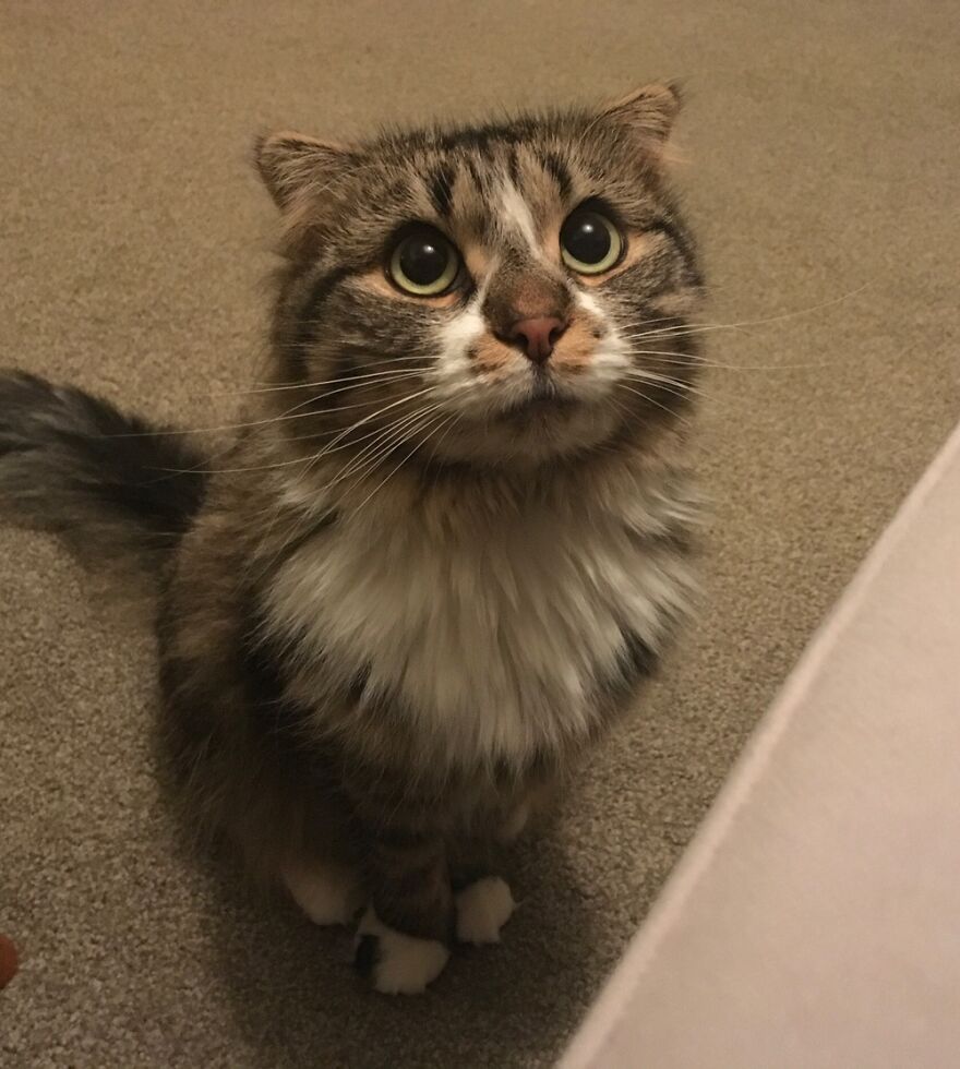 Hey Pandas, What’s The Cutest Picture You Have? (Closed) Hey Pandas, What’s The Cutest Picture You Have? (Closed)