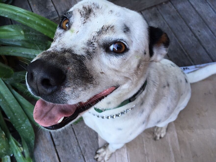 Hey Pandas, What’s The Cutest Picture You Have? (Closed) Hey Pandas, What’s The Cutest Picture You Have? (Closed)