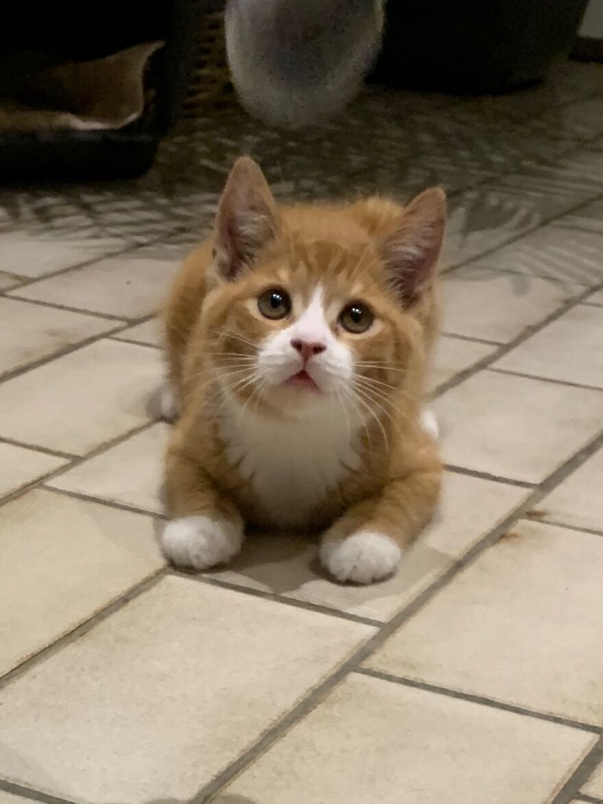 Hey Pandas, What’s The Cutest Picture You Have? (Closed) Hey Pandas, What’s The Cutest Picture You Have? (Closed)