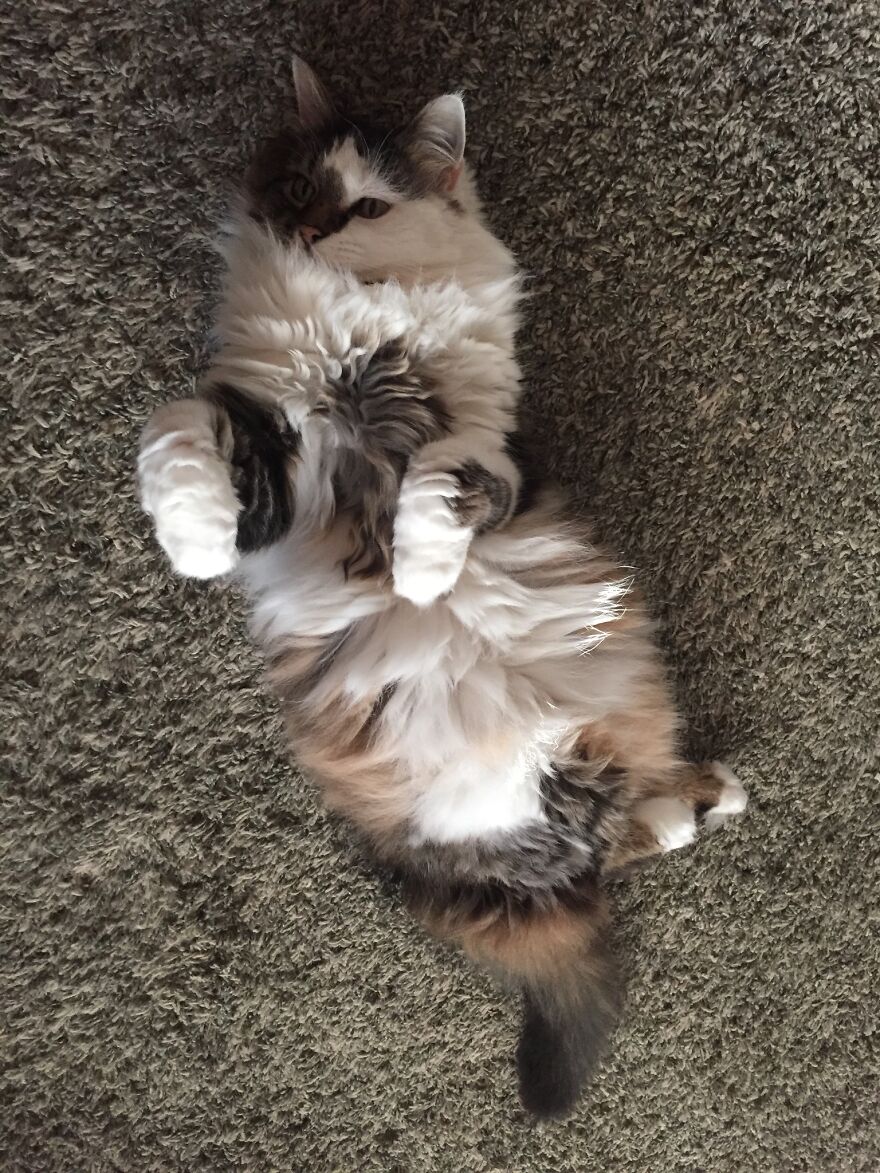 Hey Pandas, What’s The Cutest Picture You Have? (Closed) Hey Pandas, What’s The Cutest Picture You Have? (Closed)