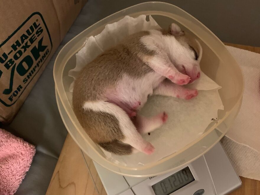 Hey Pandas, What’s The Cutest Picture You Have? (Closed) Hey Pandas, What’s The Cutest Picture You Have? (Closed)