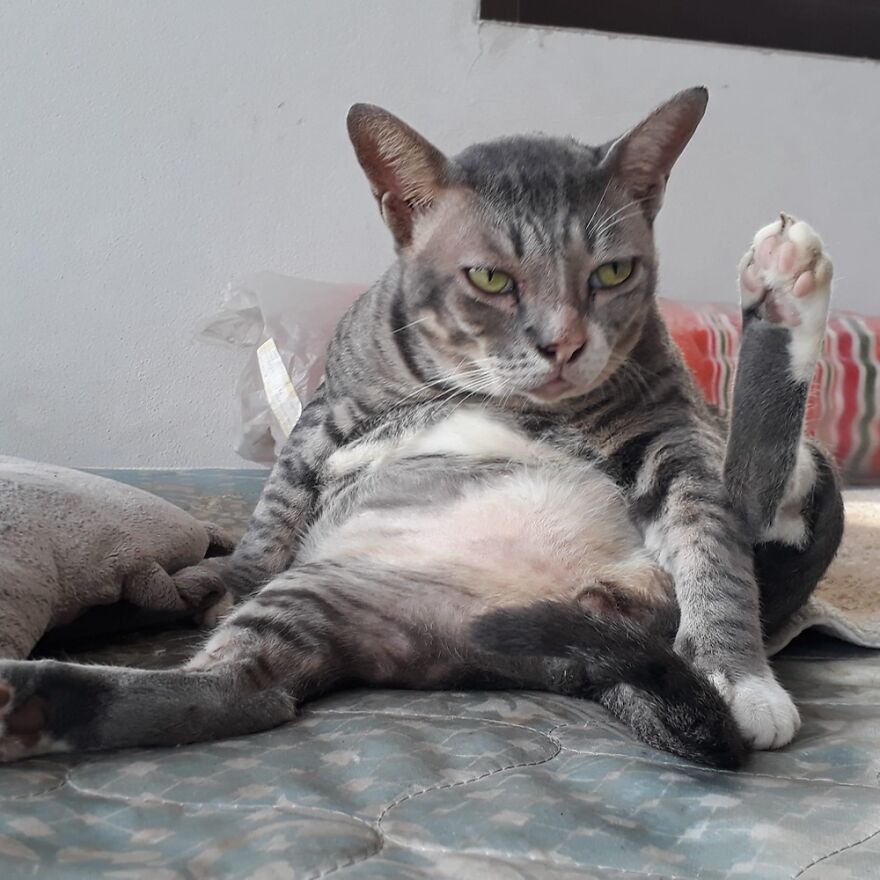 Hey Pandas, What’s The Cutest Picture You Have? (Closed) Hey Pandas, What’s The Cutest Picture You Have? (Closed)