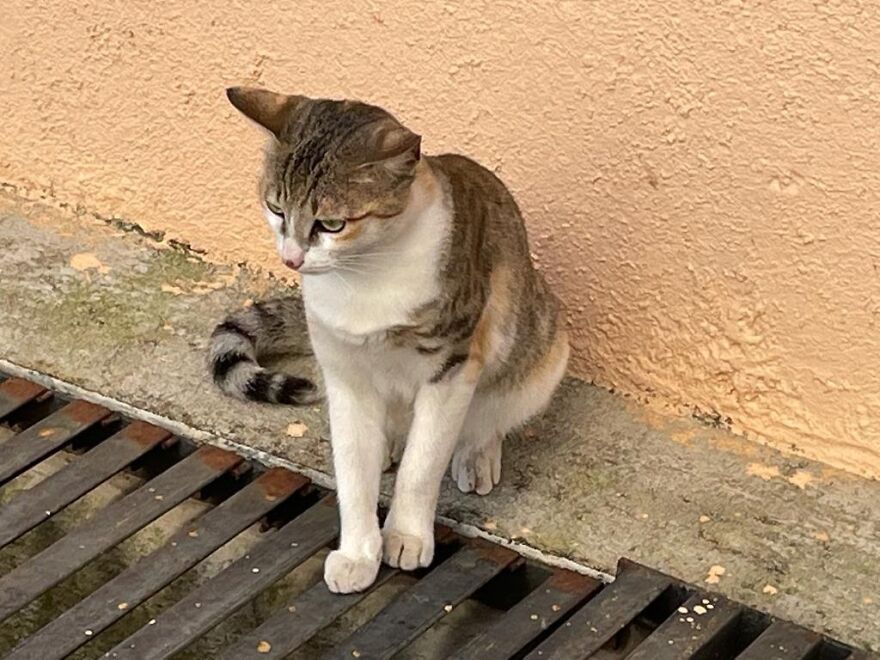 Hey Pandas, What’s The Cutest Picture You Have? (Closed) Hey Pandas, What’s The Cutest Picture You Have? (Closed)