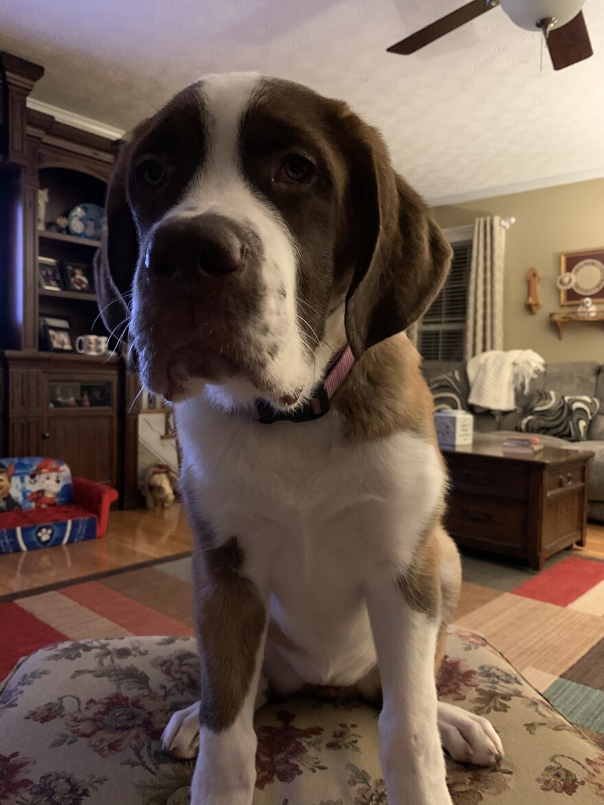 Hey Pandas, What’s The Cutest Picture You Have? (Closed) Hey Pandas, What’s The Cutest Picture You Have? (Closed)