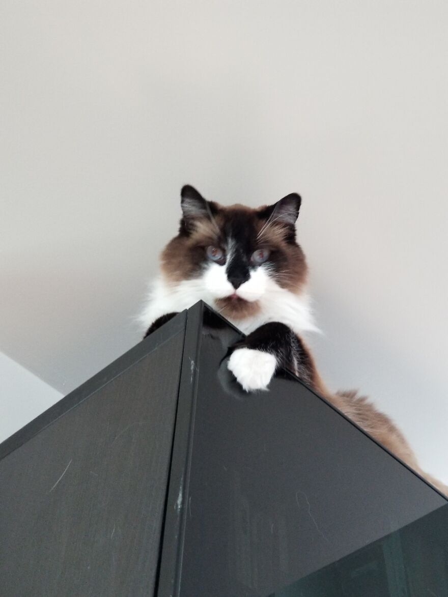 Hey Pandas, What’s The Cutest Picture You Have? (Closed) Hey Pandas, What’s The Cutest Picture You Have? (Closed)