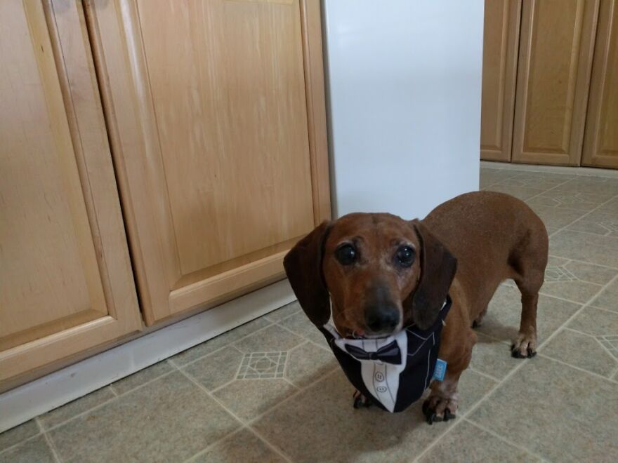 Hey Pandas, What’s The Cutest Picture You Have? (Closed) Hey Pandas, What’s The Cutest Picture You Have? (Closed)