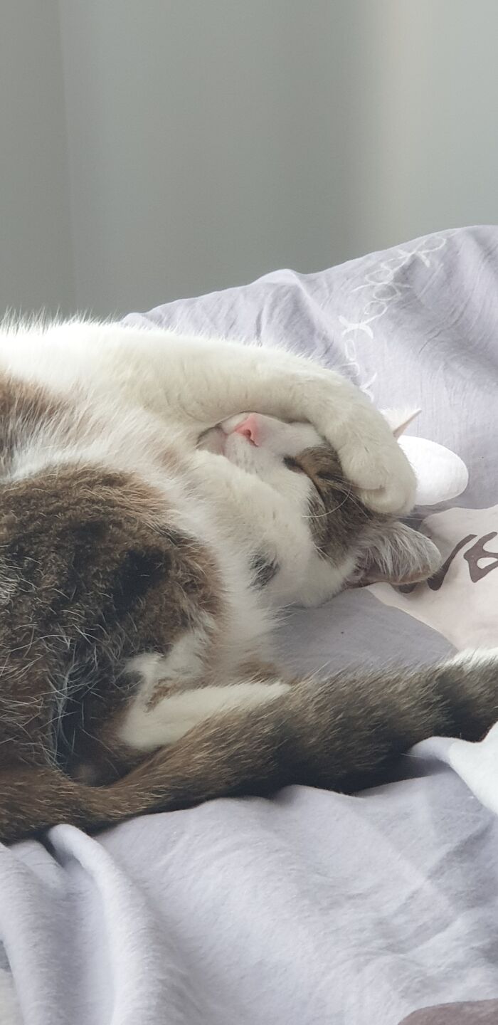 Hey Pandas, Post Your Most Wholesome Image Or Drawing Hey Pandas, Post Your Most Wholesome Image Or Drawing