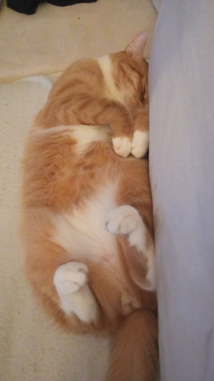 Hey Pandas, Post Your Most Wholesome Image Or Drawing Hey Pandas, Post Your Most Wholesome Image Or Drawing