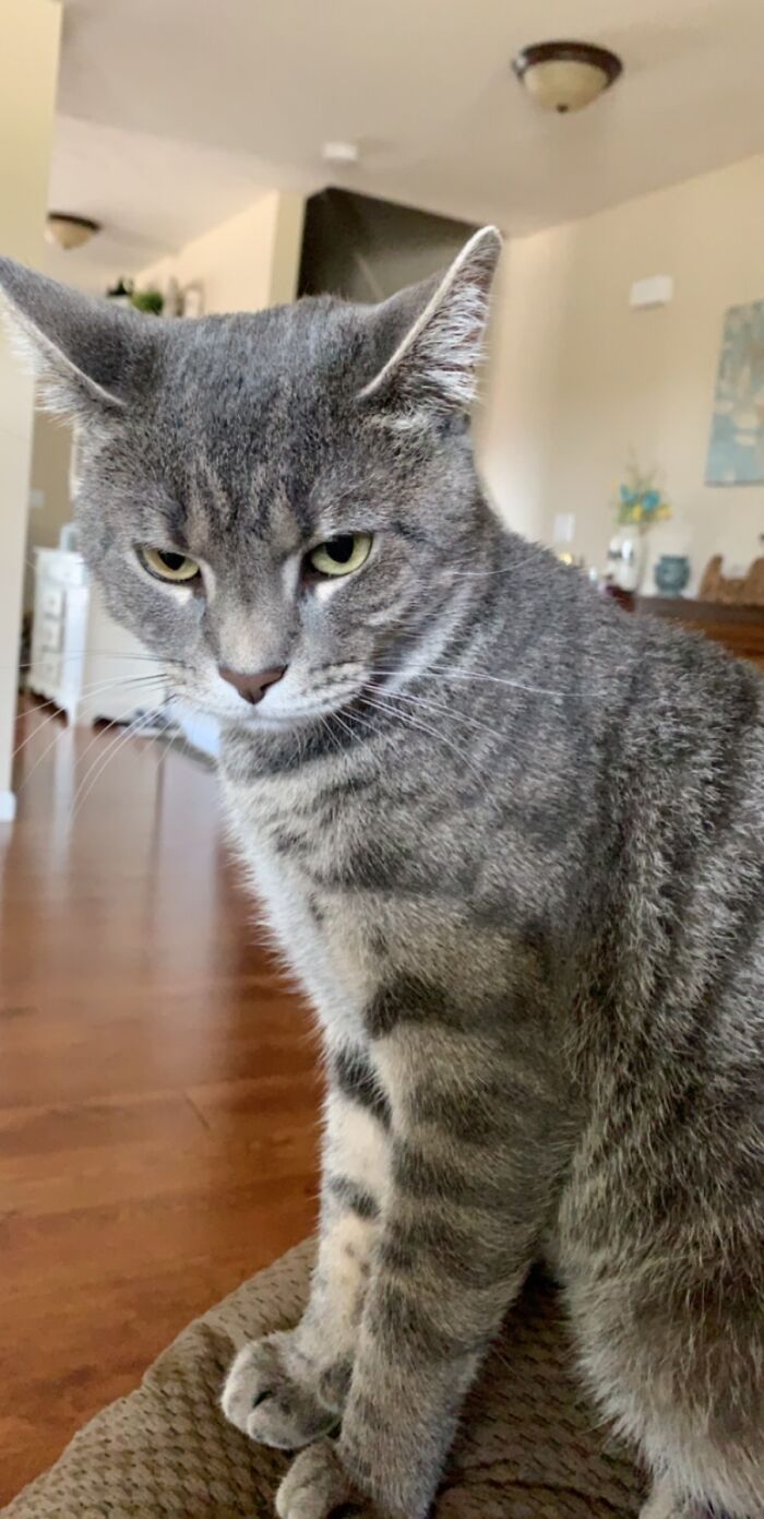 Hey Pandas, Post Your Most Wholesome Image Or Drawing Hey Pandas, Post Your Most Wholesome Image Or Drawing