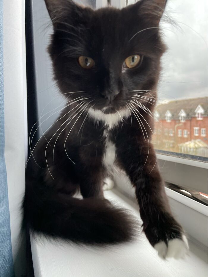 Hey Pandas, Post Your Most Wholesome Image Or Drawing Hey Pandas, Post Your Most Wholesome Image Or Drawing