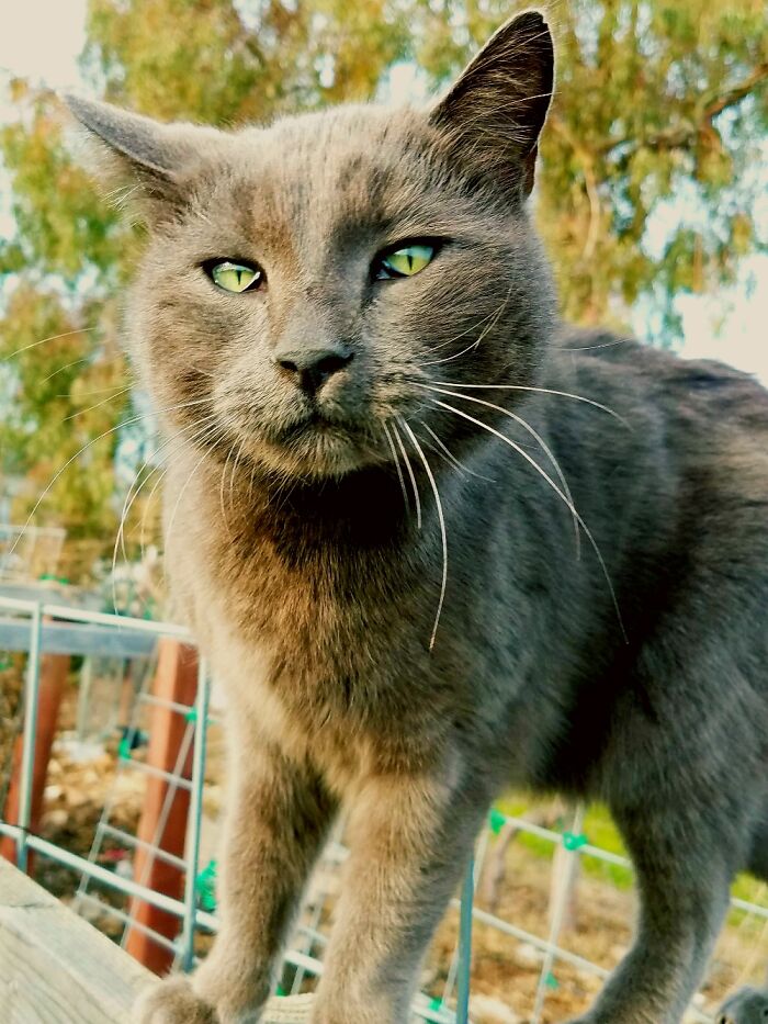 Hey Pandas, Post Your Most Wholesome Image Or Drawing Hey Pandas, Post Your Most Wholesome Image Or Drawing