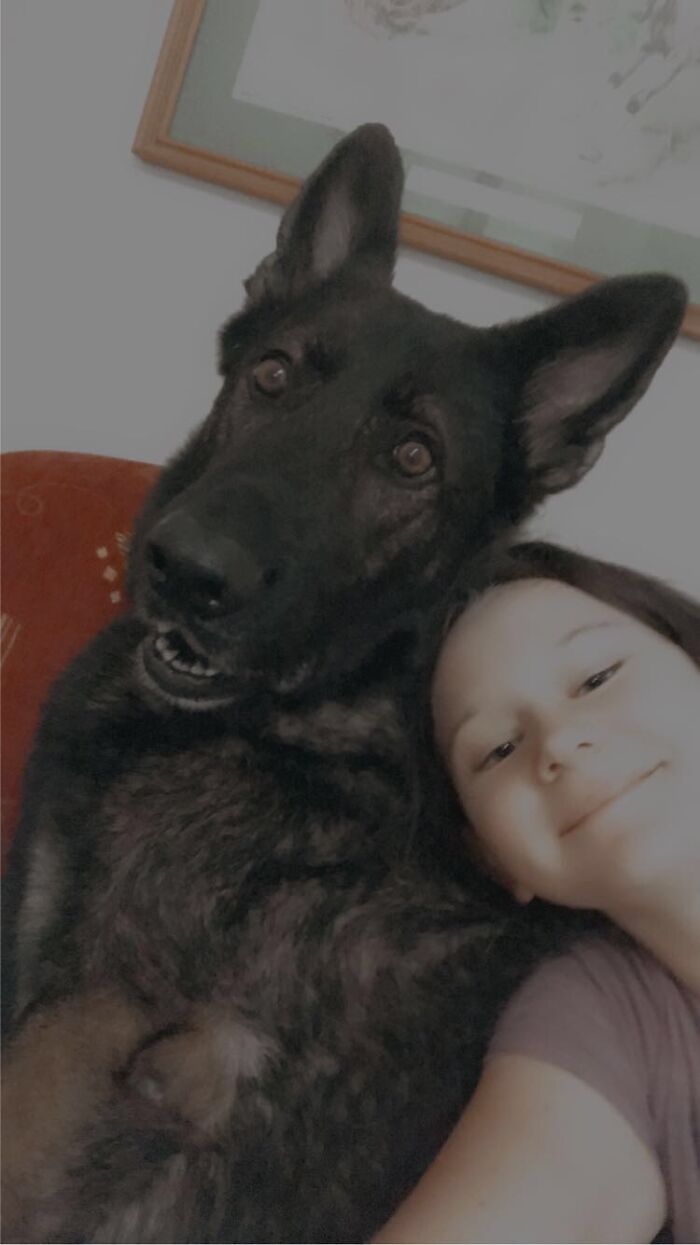 Hey Pandas, Post Your Most Wholesome Image Or Drawing Hey Pandas, Post Your Most Wholesome Image Or Drawing