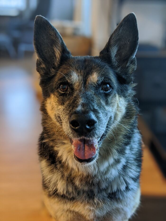 Hey Pandas, Post Your Most Wholesome Image Or Drawing Hey Pandas, Post Your Most Wholesome Image Or Drawing