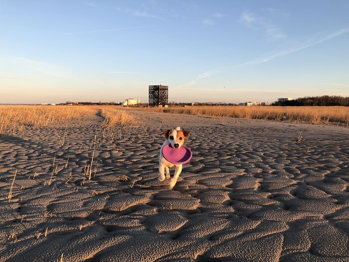 Hey Pandas, Post Your Most Wholesome Image Or Drawing Hey Pandas, Post Your Most Wholesome Image Or Drawing