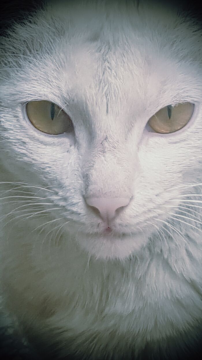 Hey Pandas, Post Your Most Wholesome Image Or Drawing Hey Pandas, Post Your Most Wholesome Image Or Drawing