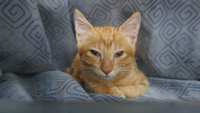 Hey Pandas, Post Your Most Wholesome Image Or Drawing Hey Pandas, Post Your Most Wholesome Image Or Drawing