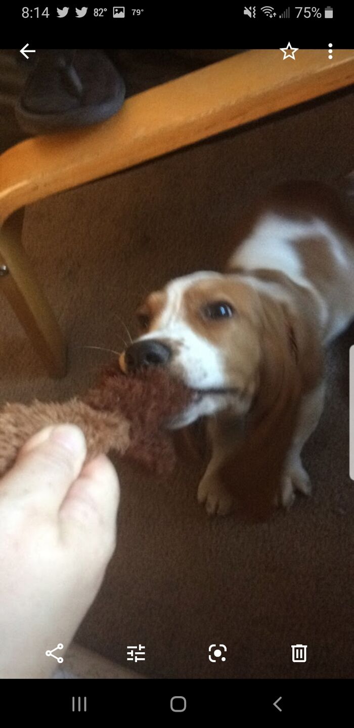 Hey Pandas, Post Your Most Wholesome Image Or Drawing Hey Pandas, Post Your Most Wholesome Image Or Drawing