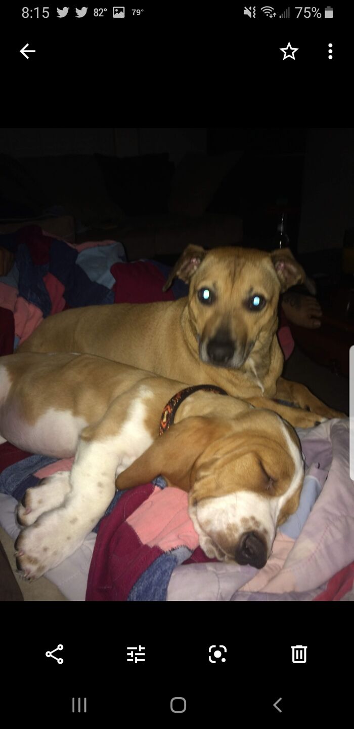 Hey Pandas, Post Your Most Wholesome Image Or Drawing Hey Pandas, Post Your Most Wholesome Image Or Drawing