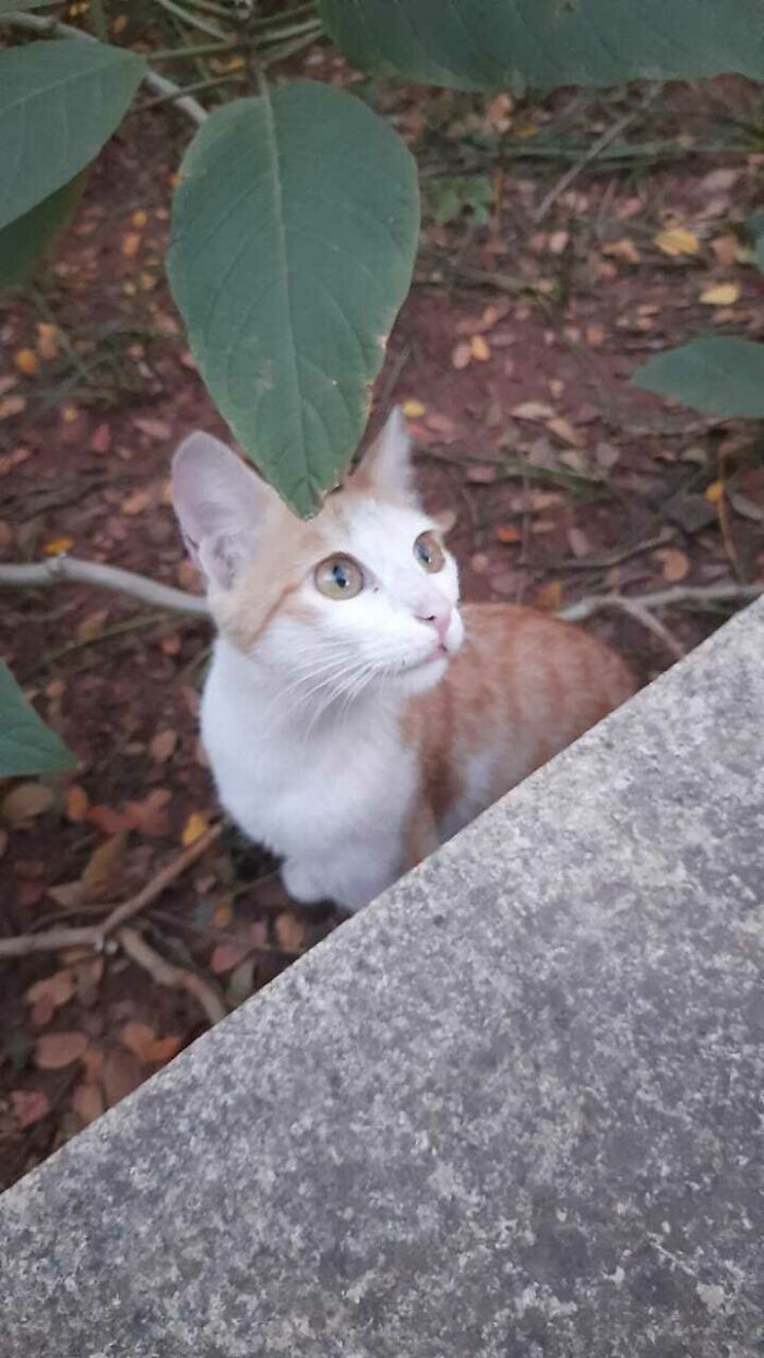 Hey Pandas, Post Your Most Wholesome Image Or Drawing Hey Pandas, Post Your Most Wholesome Image Or Drawing