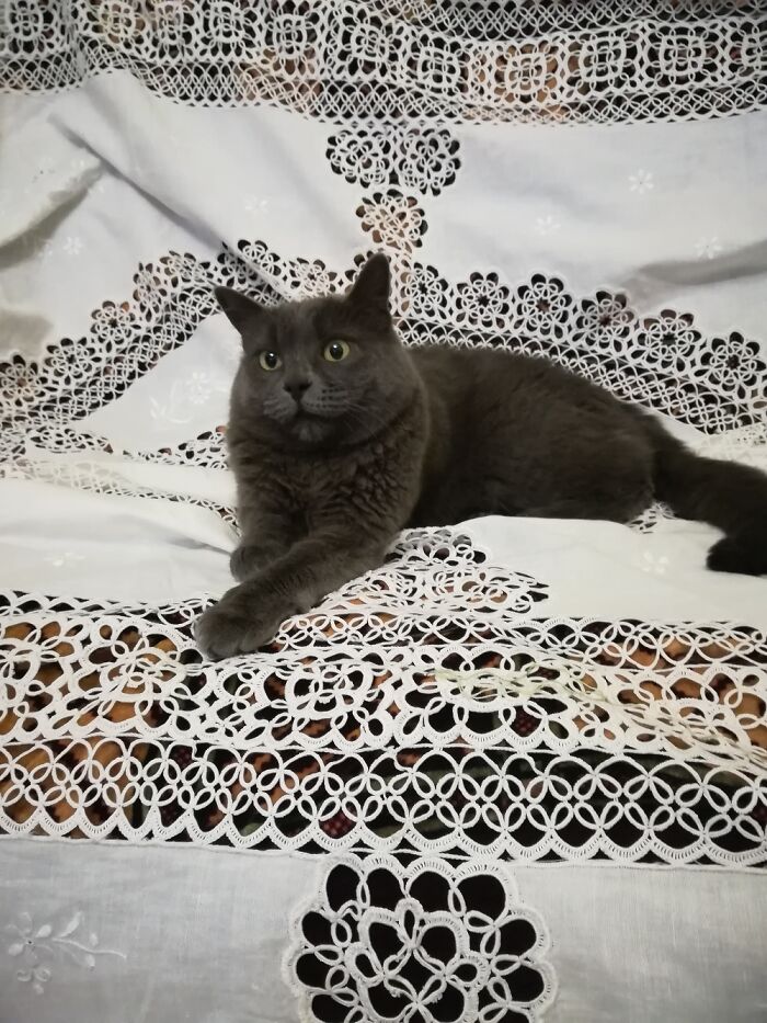 Hey Pandas, Post Your Most Wholesome Image Or Drawing Hey Pandas, Post Your Most Wholesome Image Or Drawing