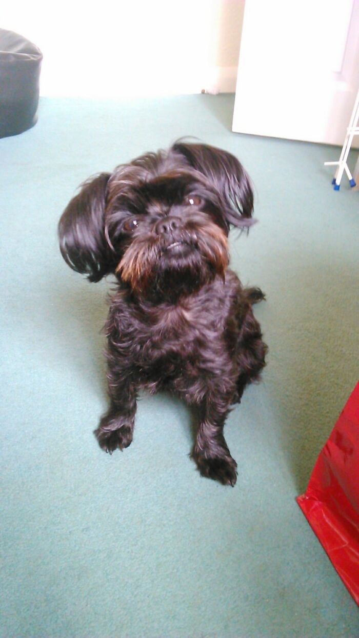 Hey Pandas, Post Your Most Wholesome Image Or Drawing Hey Pandas, Post Your Most Wholesome Image Or Drawing