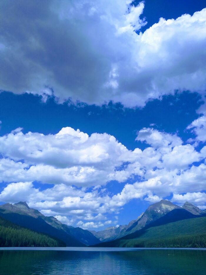 Hey Pandas, Post Your Most Wholesome Image Or Drawing Hey Pandas, Post Your Most Wholesome Image Or Drawing