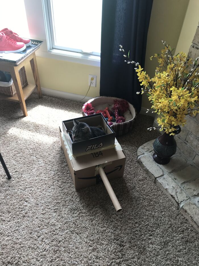 Hey Pandas, Post Your Most Wholesome Image Or Drawing Hey Pandas, Post Your Most Wholesome Image Or Drawing