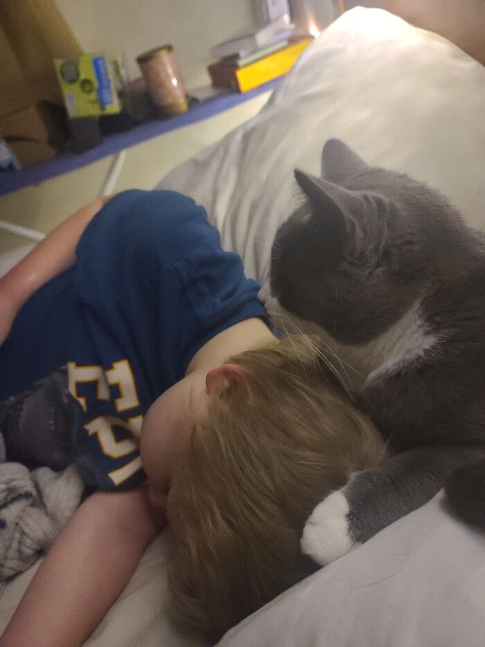 Hey Pandas, Post Your Most Wholesome Image Or Drawing Hey Pandas, Post Your Most Wholesome Image Or Drawing