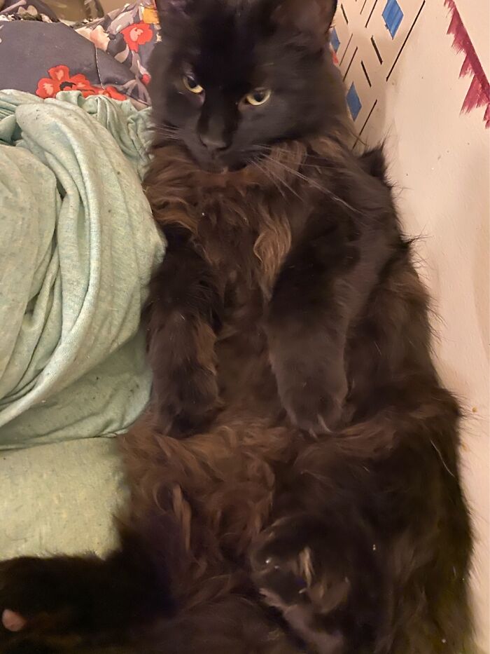 Hey Pandas, Post Your Most Wholesome Image Or Drawing Hey Pandas, Post Your Most Wholesome Image Or Drawing