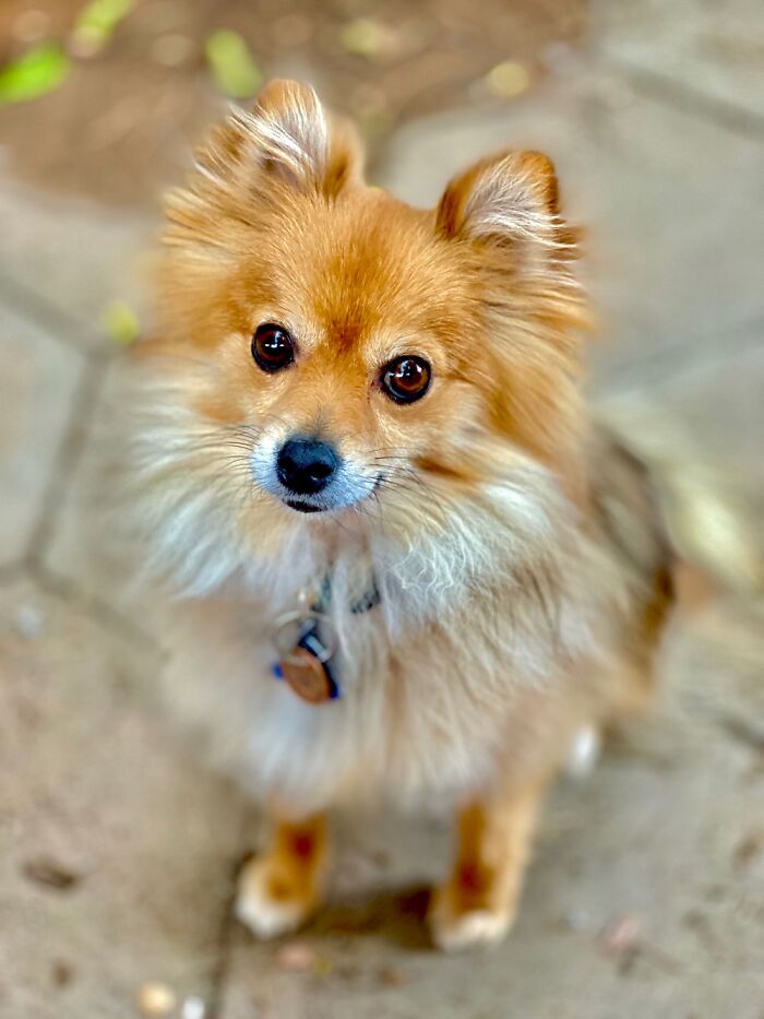 Hey Pandas, Post Your Most Wholesome Image Or Drawing Hey Pandas, Post Your Most Wholesome Image Or Drawing