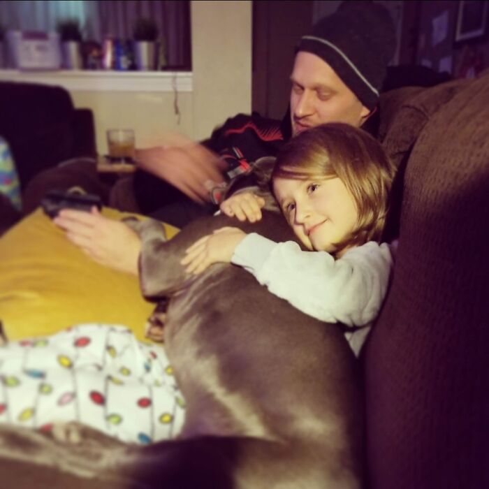 Hey Pandas, Post Your Most Wholesome Image Or Drawing Hey Pandas, Post Your Most Wholesome Image Or Drawing