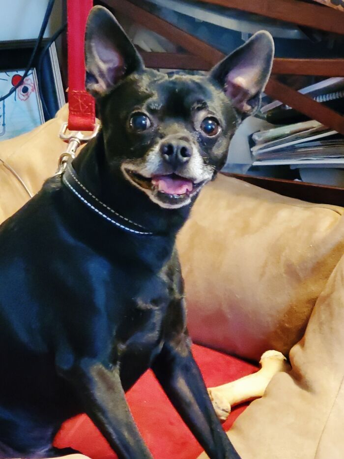 Hey Pandas, Post Your Most Wholesome Image Or Drawing Hey Pandas, Post Your Most Wholesome Image Or Drawing